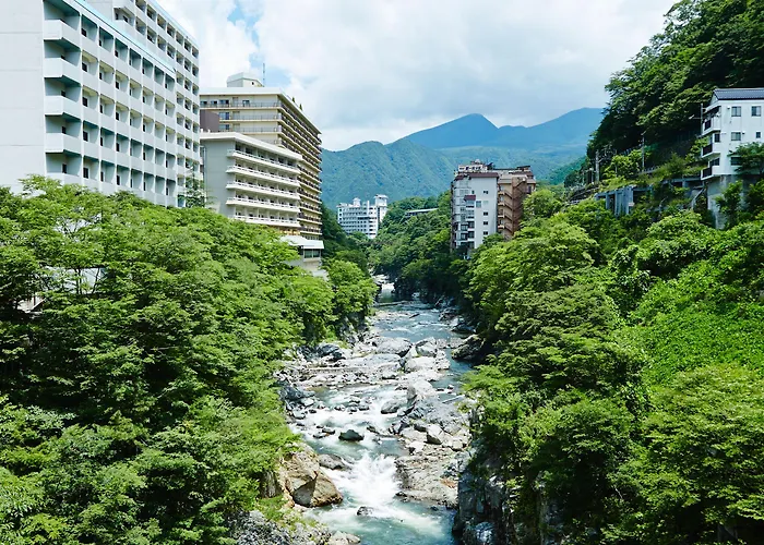 Ping pong hotels Kinugawa Onsen