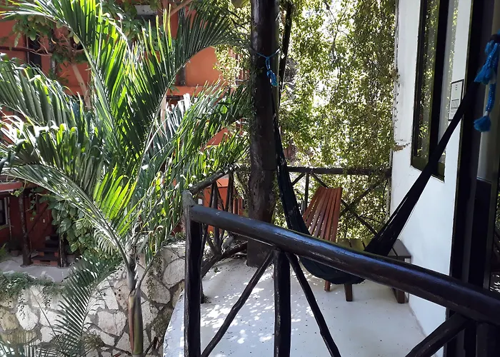 Siesta Fiesta Hotel Adults Only - 5Th Avenue