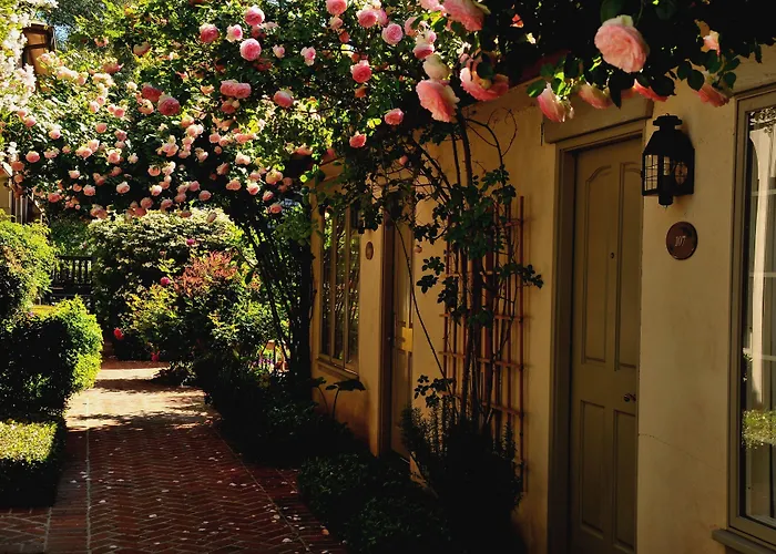 Dog friendly hotels Vineyard Country