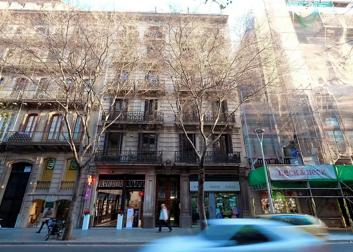 Casa de huéspedes: Lenin Hostel