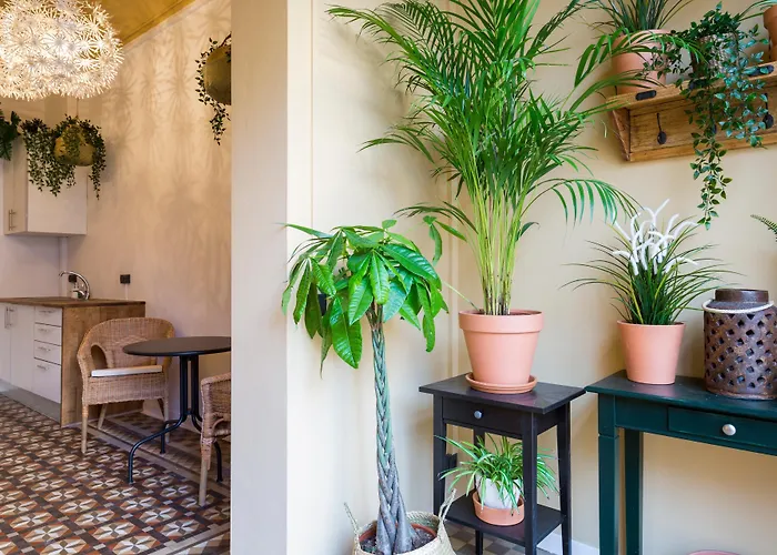 Casa Maca Guest House