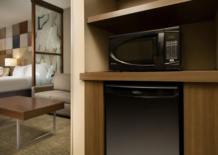 Holiday Inn Express Hotel & Suites Waco South By Ihg
