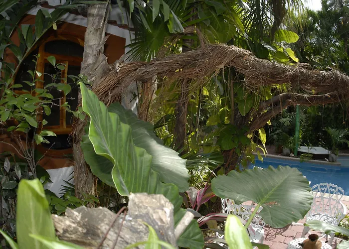 Eco-Hotel El Rey Del Caribe