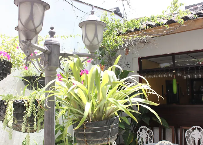 Hotel Tazumal House