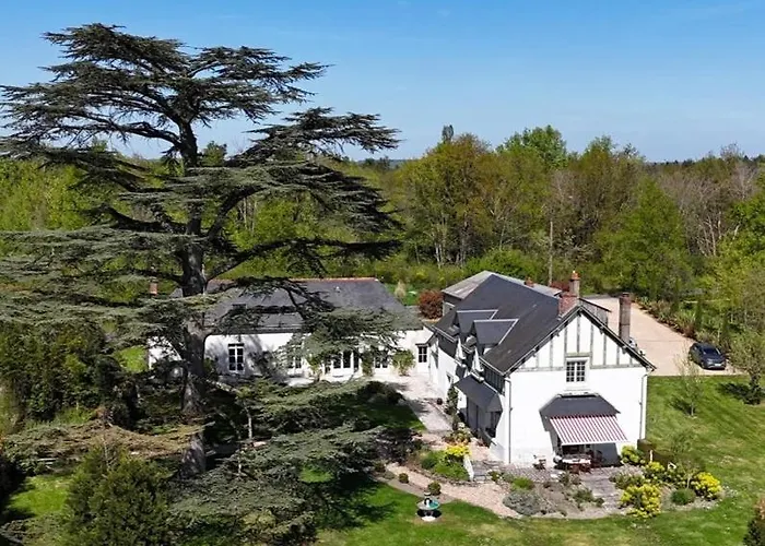 Villa l'Arbre Bleu