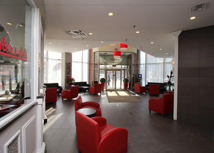 Animaux admis Chrome Montreal Centre-Ville