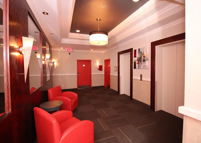 Animaux admis Chrome Montreal Centre-Ville
