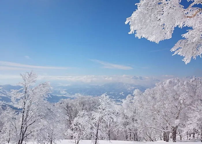Сity center hotels Nozawa Dream