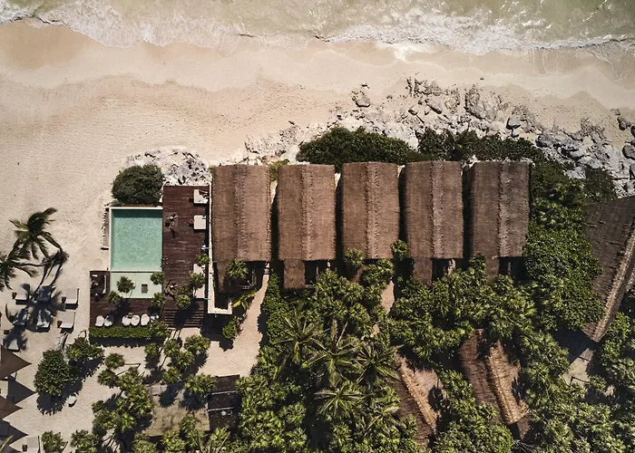 Our Habitas - Adults Only