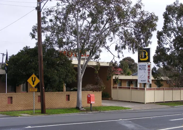 Pets Allowed Hotel Eaglehawk Bendigo