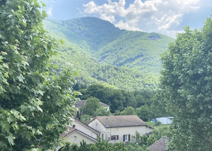 Animaux admis Et Appartements Les Platanes
