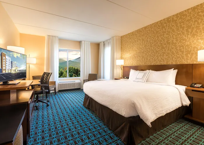 Fairfield Inn & Suites By Marriott Asheville Tunnel Road