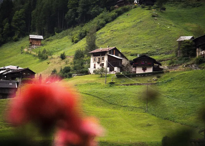  Alpen Rabbi