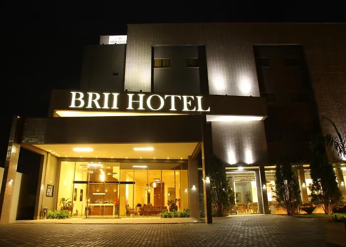  Brii