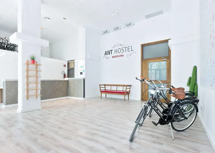 Pet Friendly hotel: Ant Hostel Barcelona