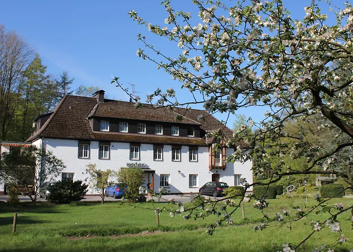 Hotel Wintersmühle