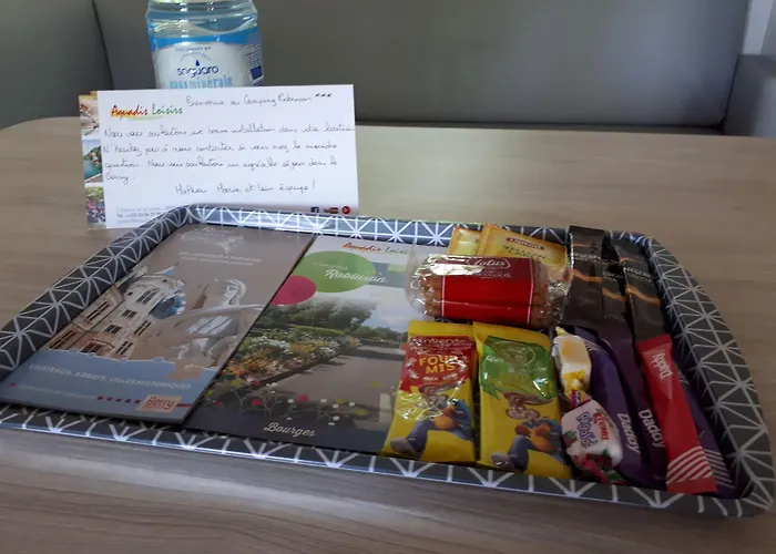 Hôtel accueillant les animaux: Camping Du Pont D'Avignon