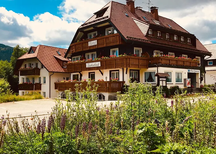 Zartenbach