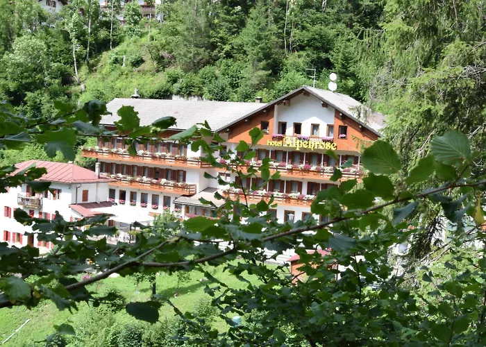 Hotel con Spa Alpenrose
