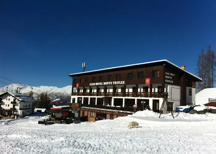 Monte Triplex