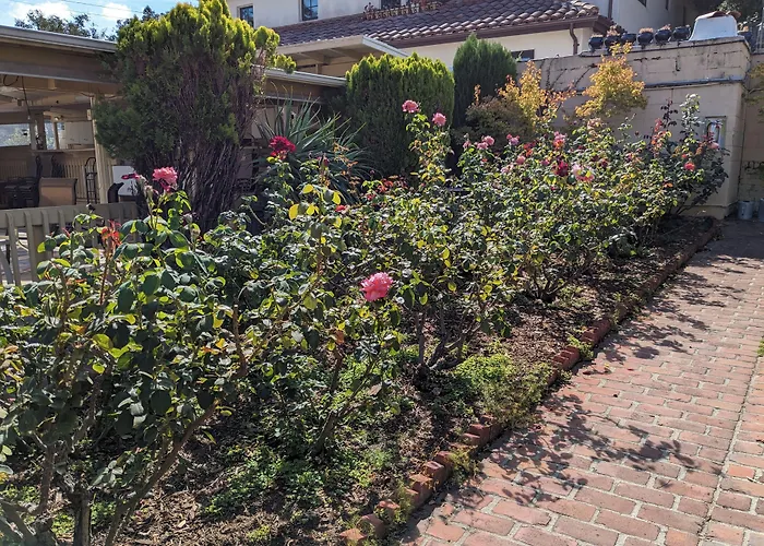 Garden Inn
