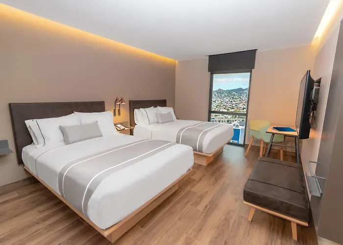 Hotel que admite mascotas: Highland Chihuahua