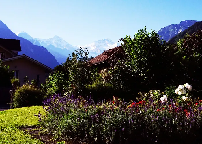 Herberge: Adventure Hostel Interlaken