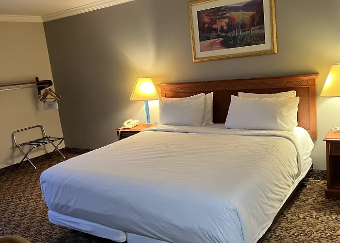 Hotel Xola