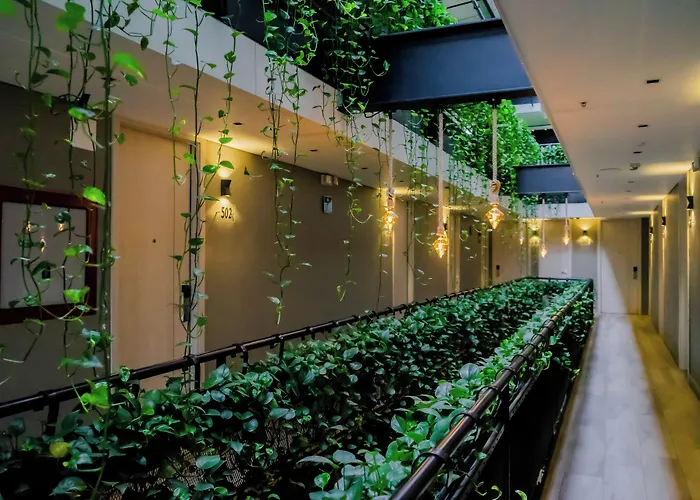 4 Sur