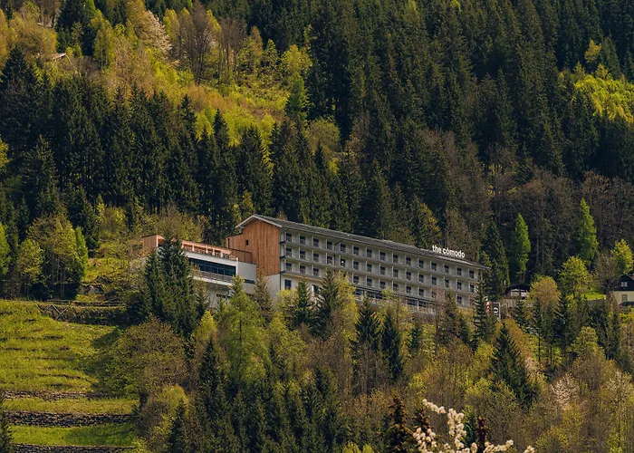 Pet Friendly hotel: The Comodo Bad Gastein, A Member Of Design Hotels
