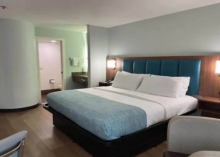 Wingate By Wyndham Macon West I-475