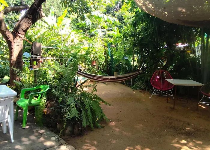 Jungle Palace hostel santaella