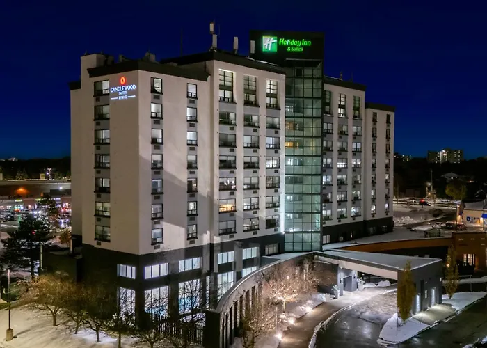 Dog friendly hotels Holiday Inn & Suites London By Ihg