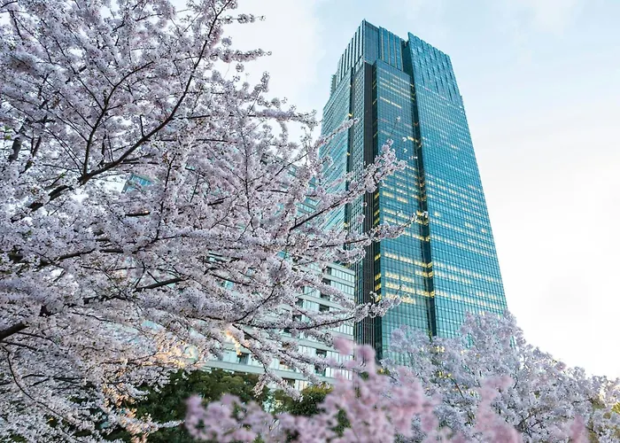 Hotel mit Pool: The Ritz-Carlton, Tokyo
