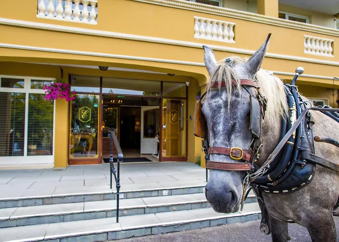 4 star hotel: Earls Court House