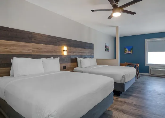 Hom Hotel Gainesville, Surestay Collection By Best Western