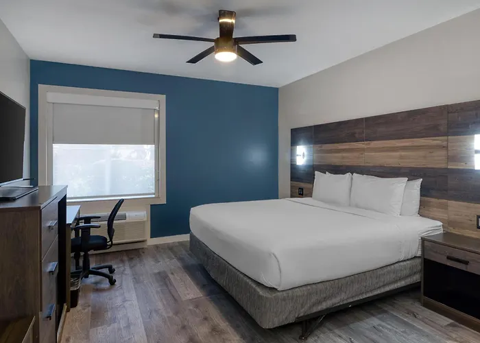 Hom Hotel Gainesville, Surestay Collection By Best Western