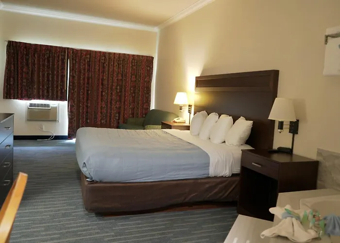 Ocean Parradise Hotel And Resort