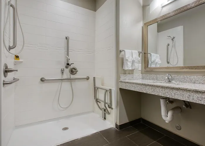 Best Western Plus Tech Medical Center Inn