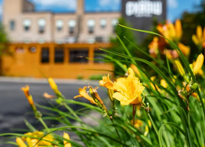 Boutique hotel only: The Oxbow Hotel