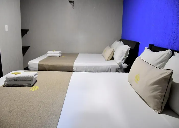 Hotel Chico Real