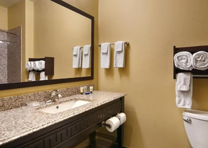 Best Western Plus Carrizo Springs Inn & Suites