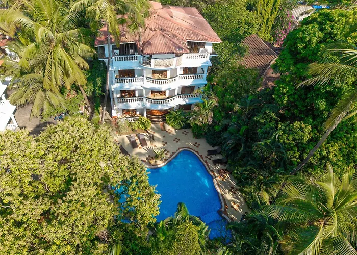 Hotels with a view Olive Alidia Beach By Embassy Group