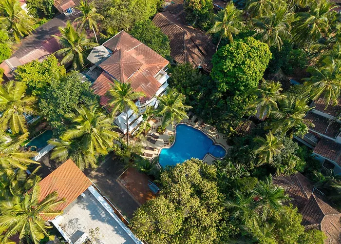 Hotels with a view Olive Alidia Beach By Embassy Group