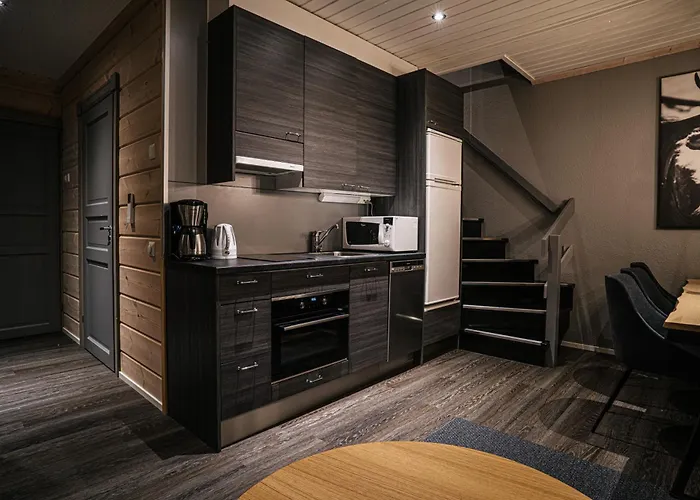 Dog friendly hotels Levi Black Apartments