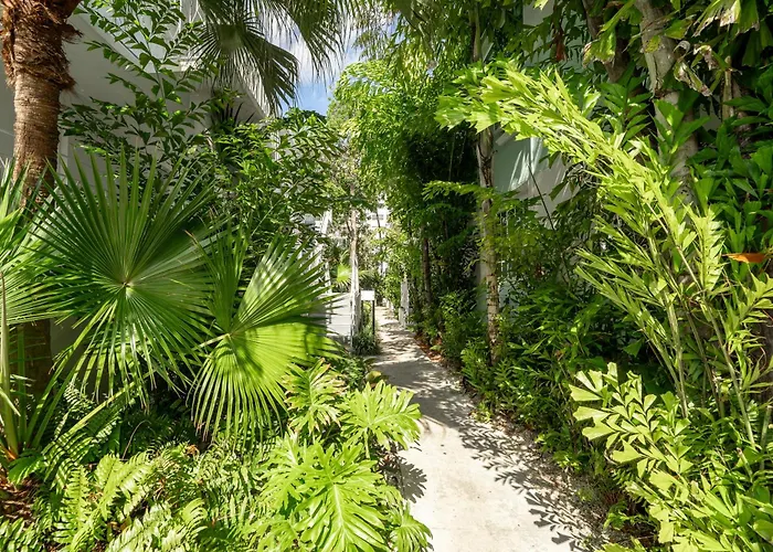 Trip to College Praia Boutique & Apartments Miami Beach