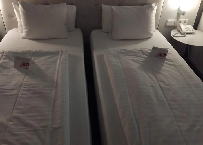 Pet Friendly hotel: Hotel Cismigiu