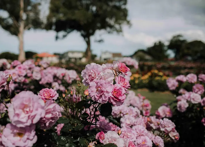 Kennedy Park Resort Napier
