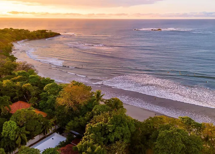 Resorts Guide Coast Beachfront