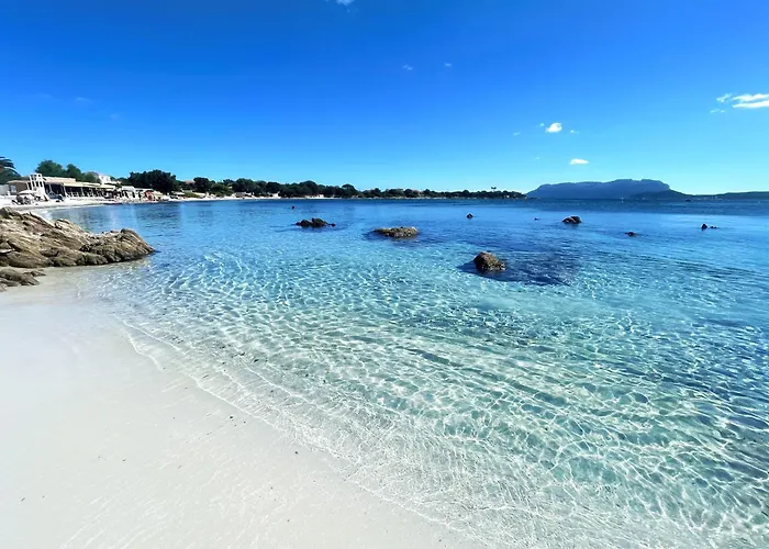 Hotel adatto agli animali: Sea Love